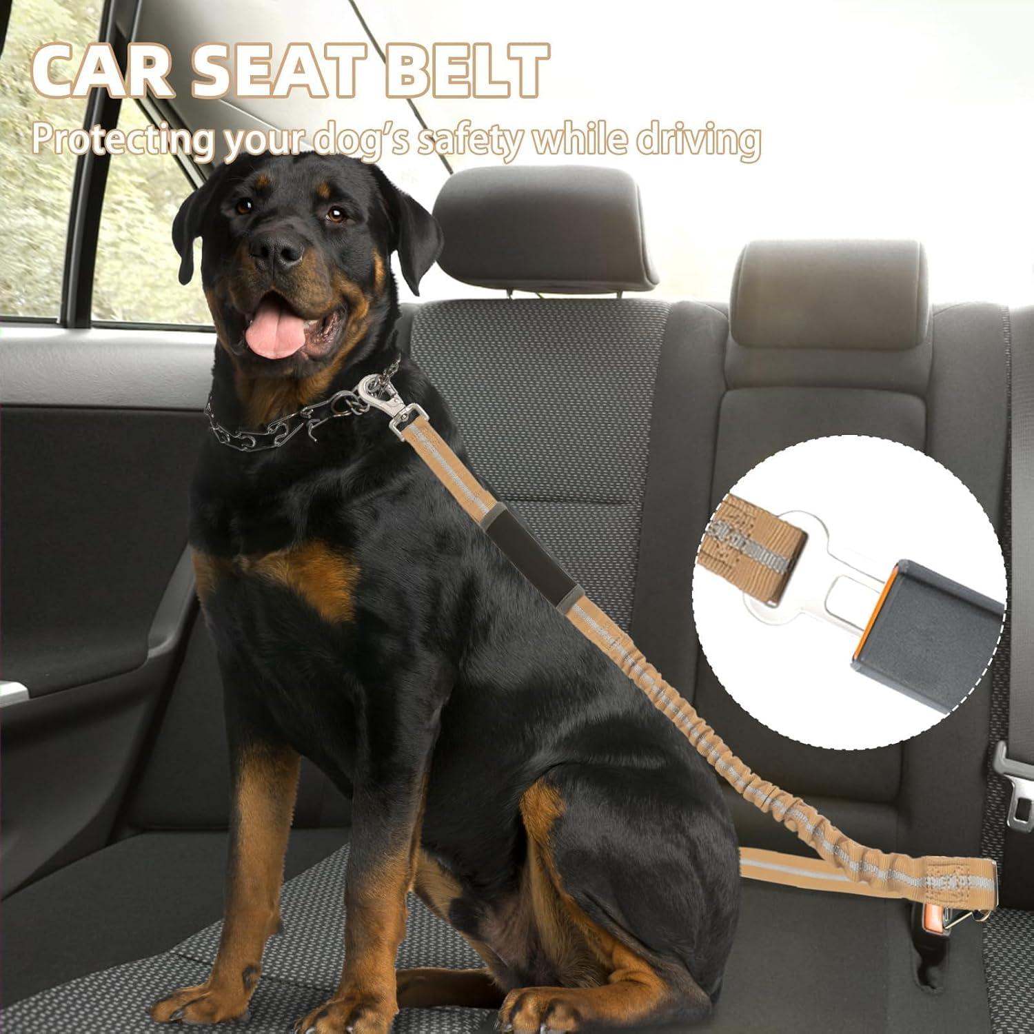 Correa Bungee para Perro PUPTECK con Doble Mango y Reflectante