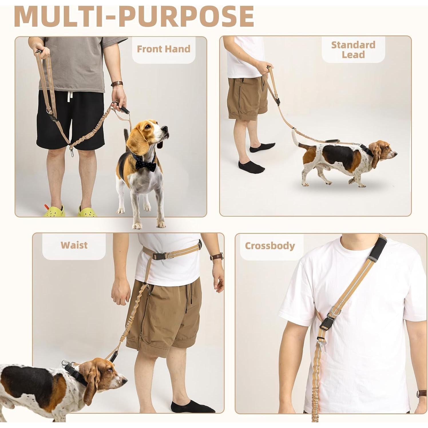 Correa Bungee para Perro PUPTECK con Doble Mango y Reflectante