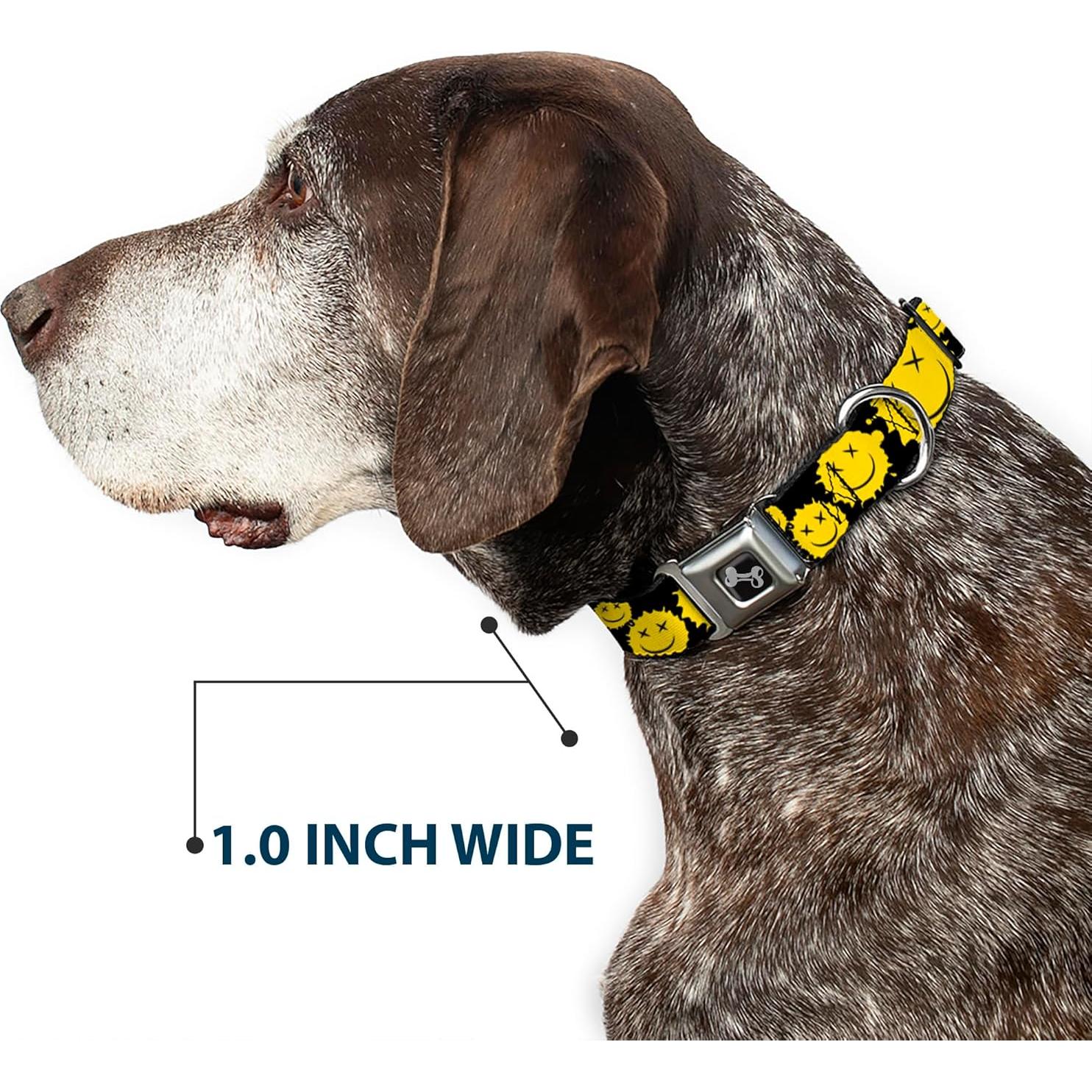 Collar para Perros Buckle-Down 16-23" (40.64-58.42 cm) Seguridad