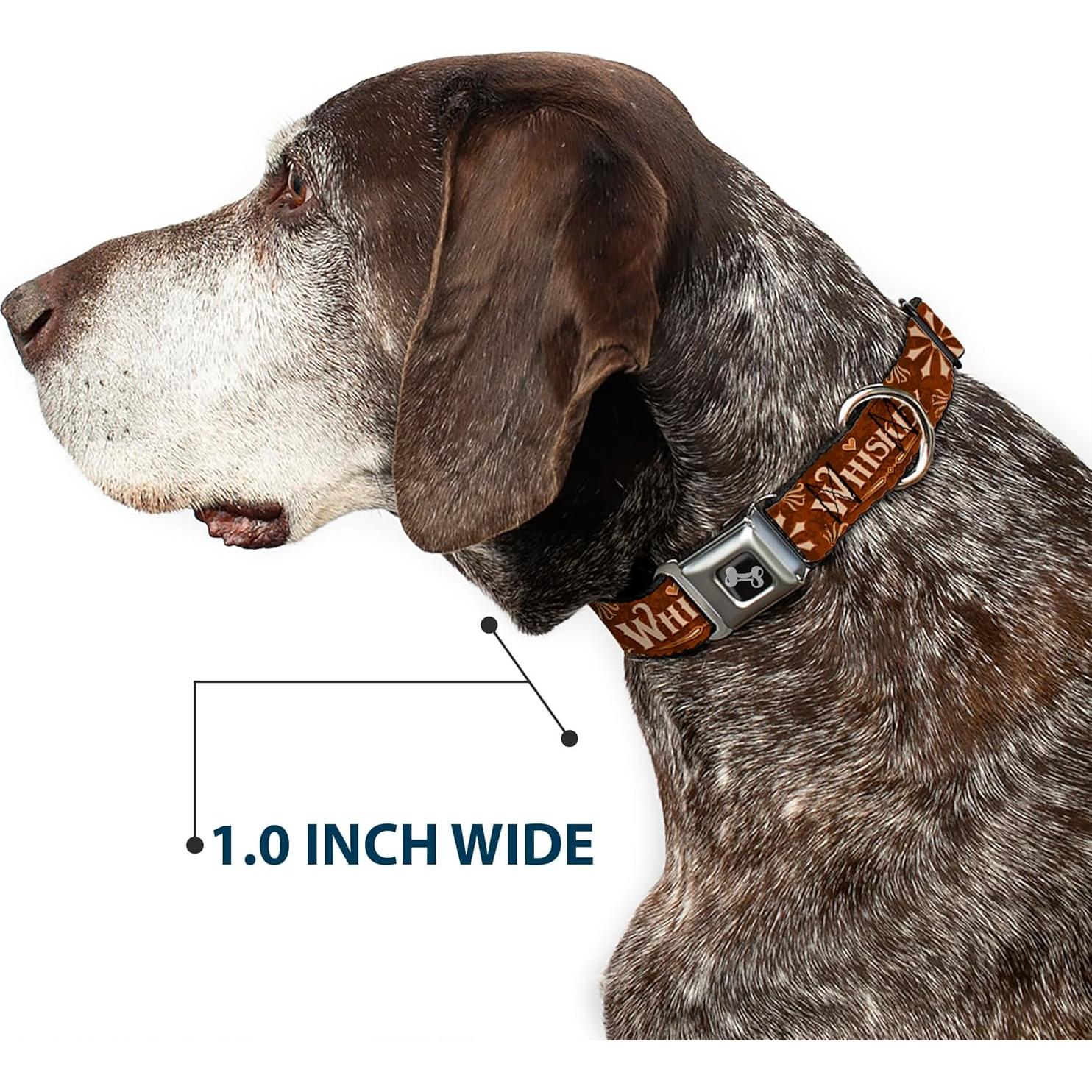 Collar para Perros Buckle-Down, Hebilla de Seguridad 24.1-33cm