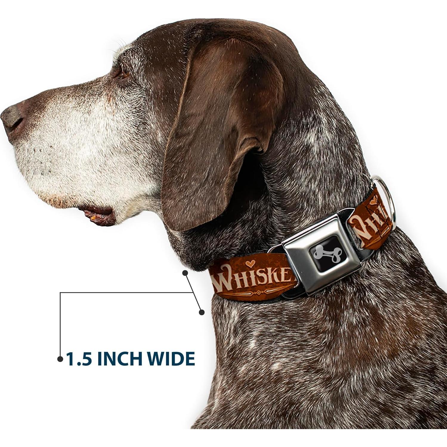 Collar para Perros Buckle-Down, Hebilla de Seguridad 24.1-33cm