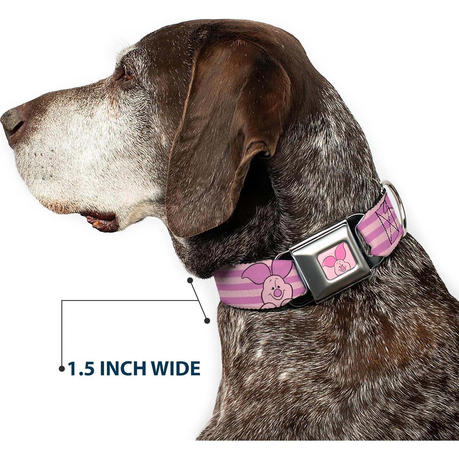 Collar para Perros Disney Buckle-Down Winnie Pooh 24.1-33 cm