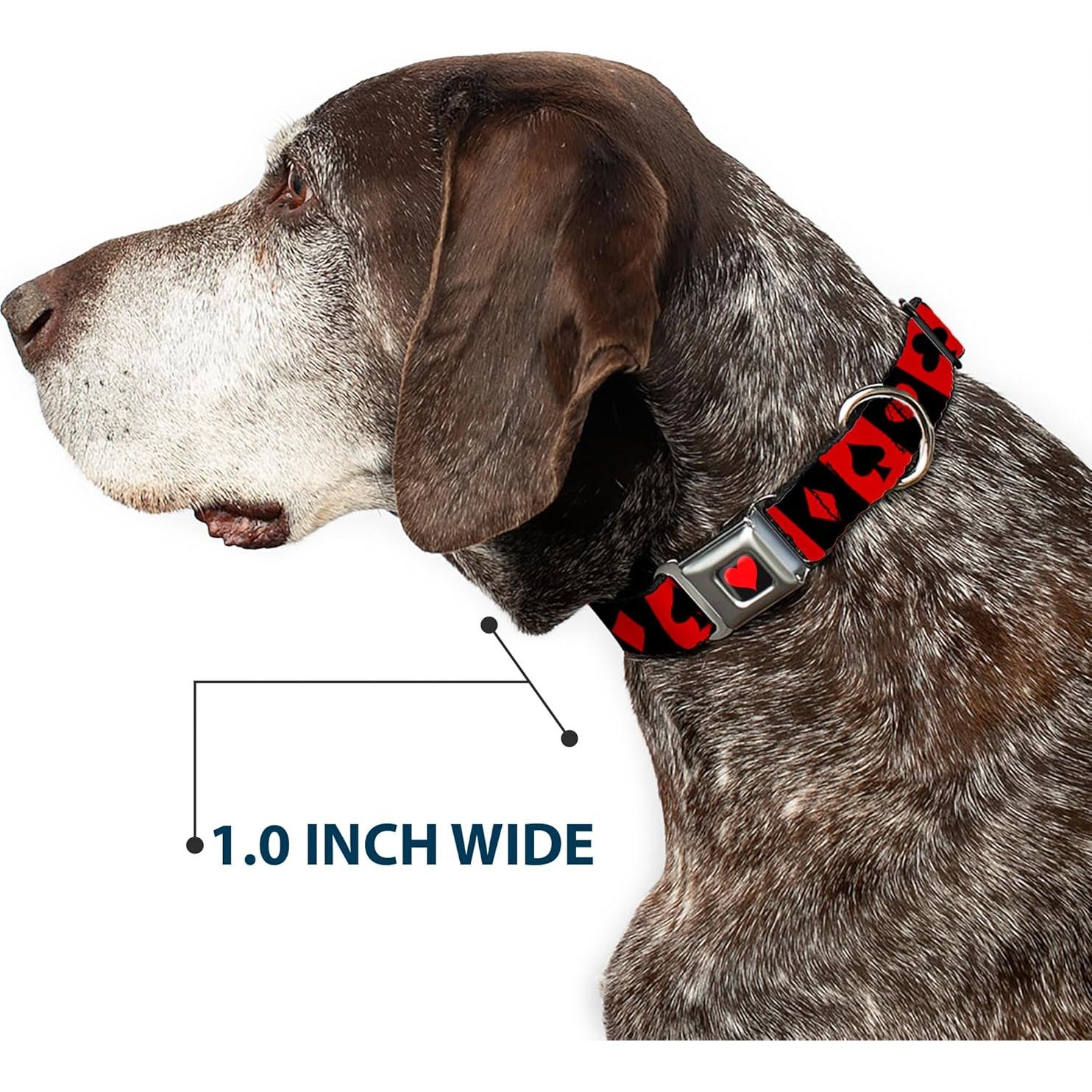 Collar para Perro Disney Buckle-Down 40.6-58.4 cm Rojo Negro