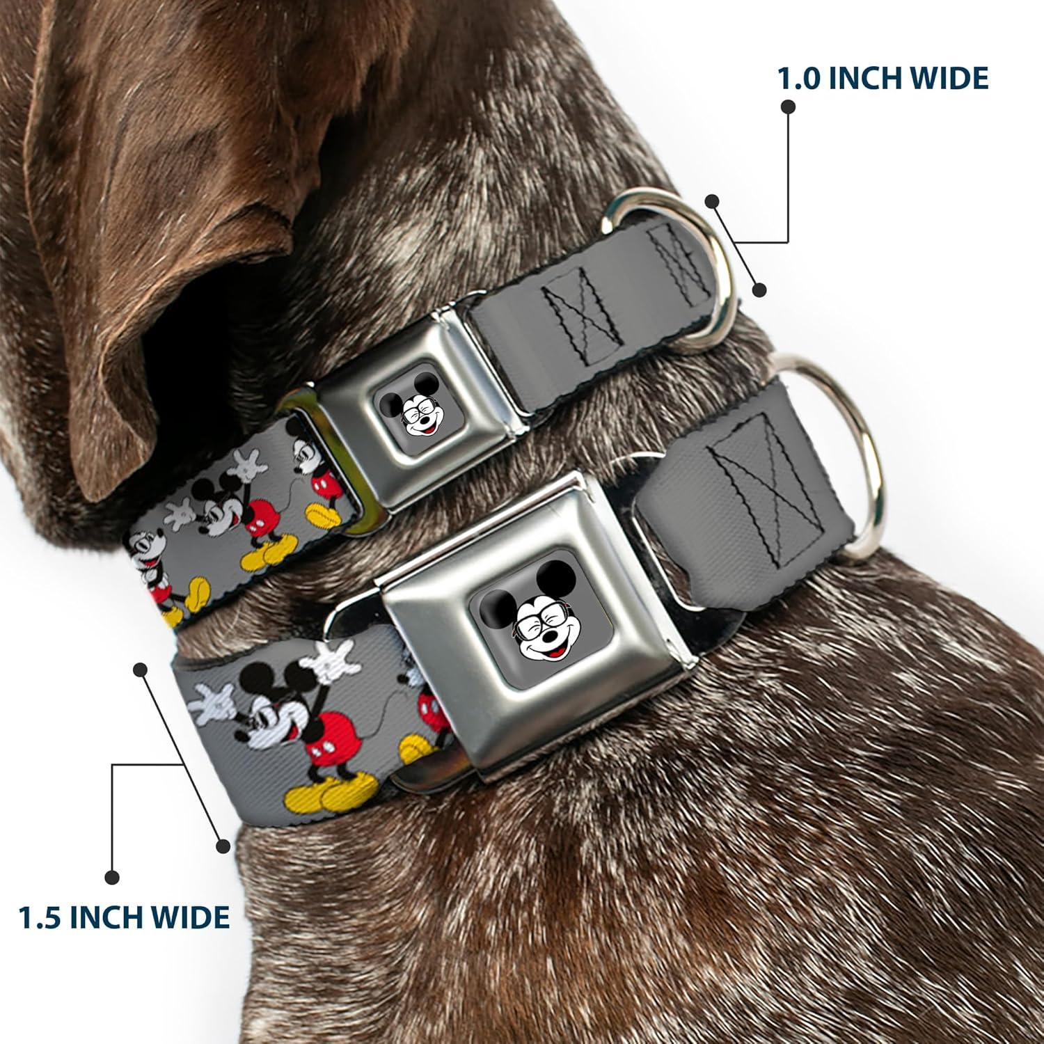 Collar para Perro Buckle-Down Mickey Mouse 2.54 cm Ajustable
