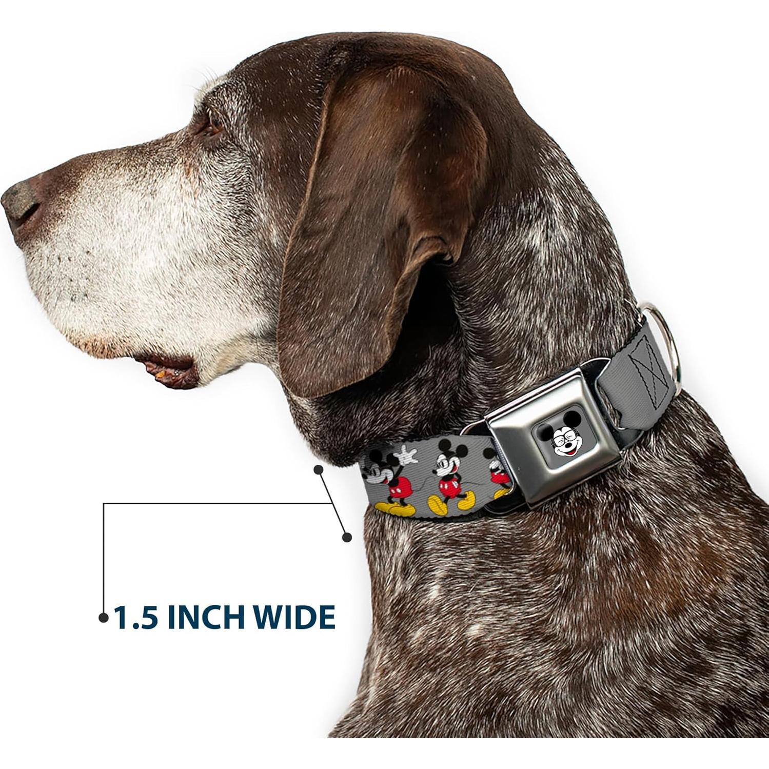 Collar para Perro Buckle-Down Mickey Mouse 2.54 cm Ajustable