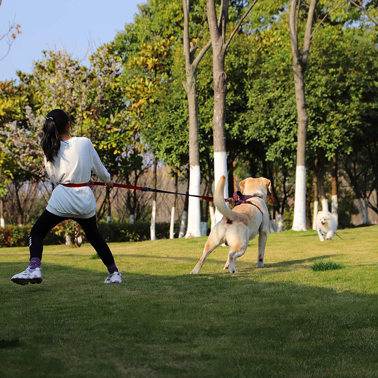 Correa para Perros LOS ANDES Verde Militar 1.52-2.44m Resistente