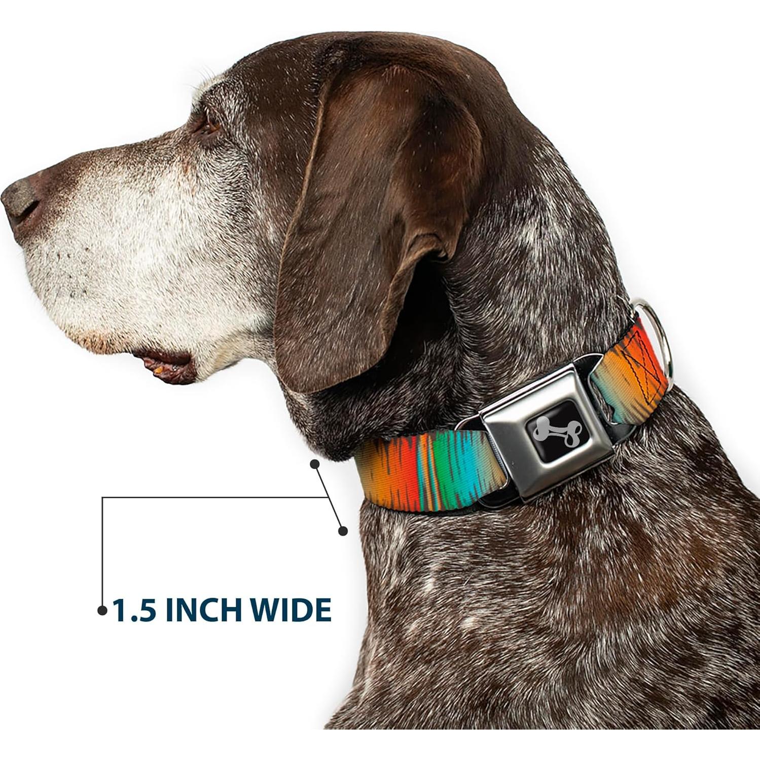 Collar para Perros Buckle-Down 20-31 cm Multicolor 3.81 cm