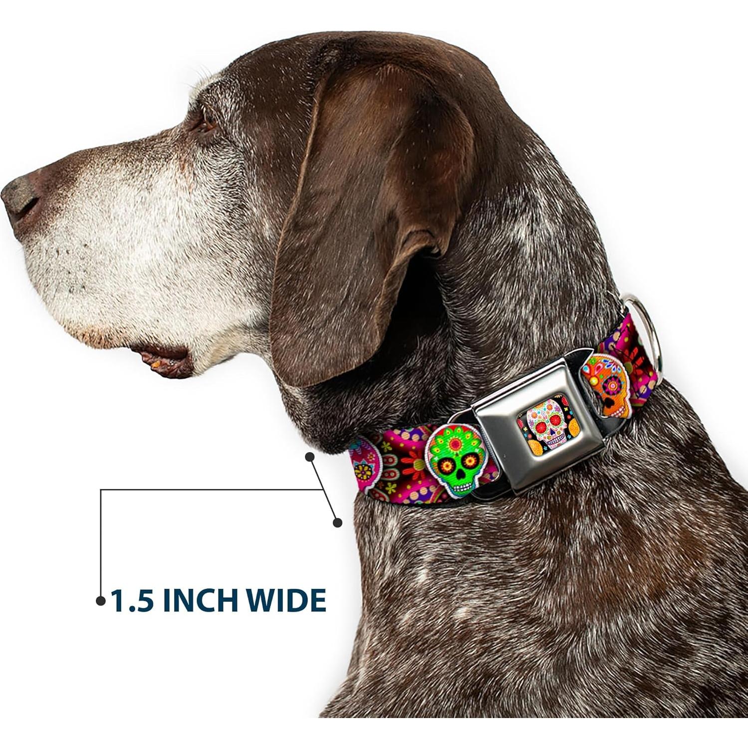 Collar de Perro Buckle-Down Multicolor Calaveras 38-66 cm