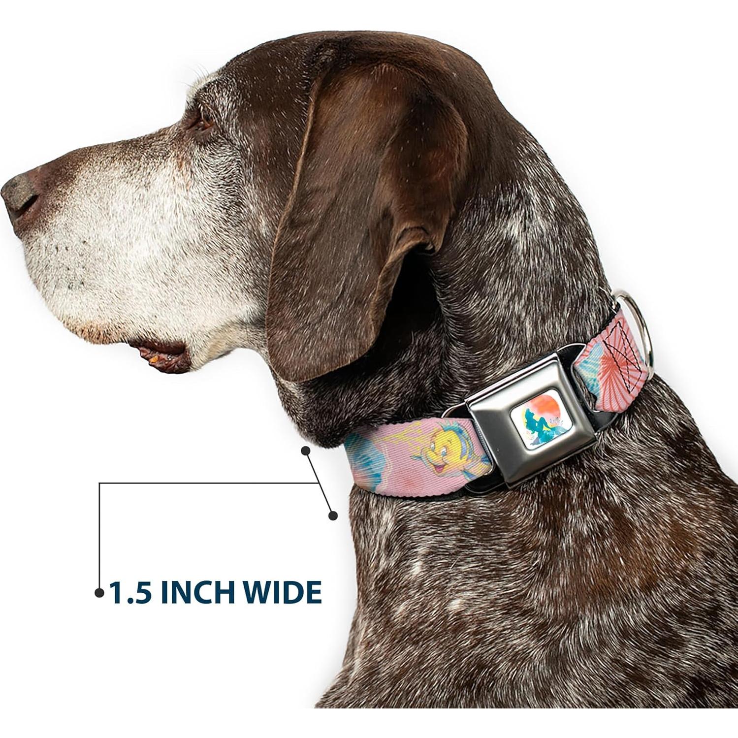 Collar para Perros Disney Buckle-Down La Sirenita 16-23"