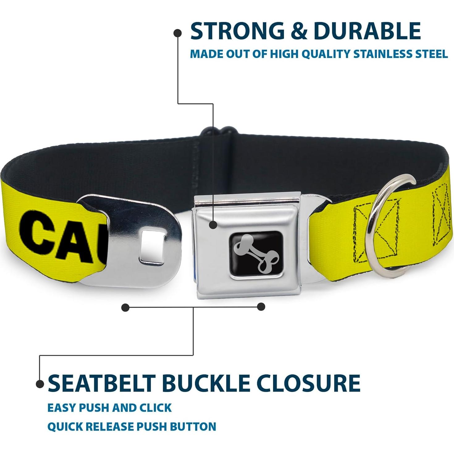 Collar de Perro Buckle-Down 20-31" (50.8-78.74 cm) Seguridad