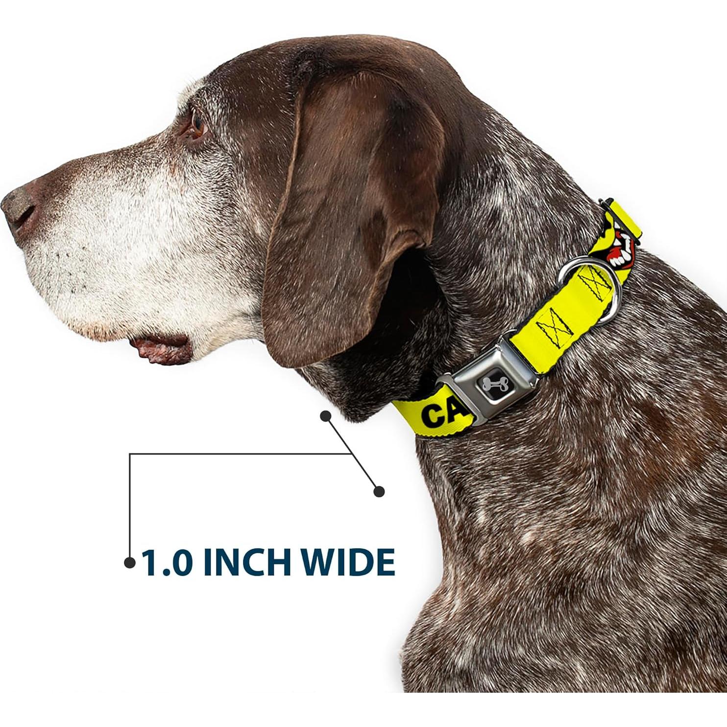 Collar de Perro Buckle-Down 20-31" (50.8-78.74 cm) Seguridad