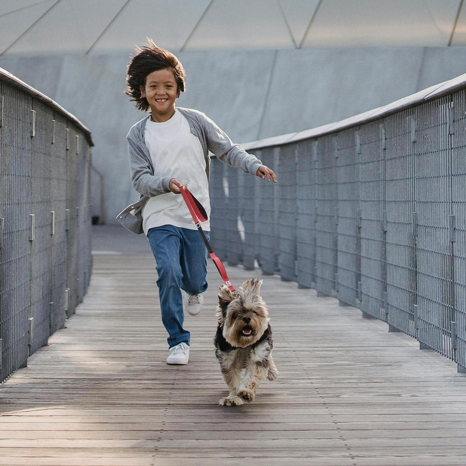 Correa Táctica para Perros S-ETOVUS 6FT Bungee Doble Mango