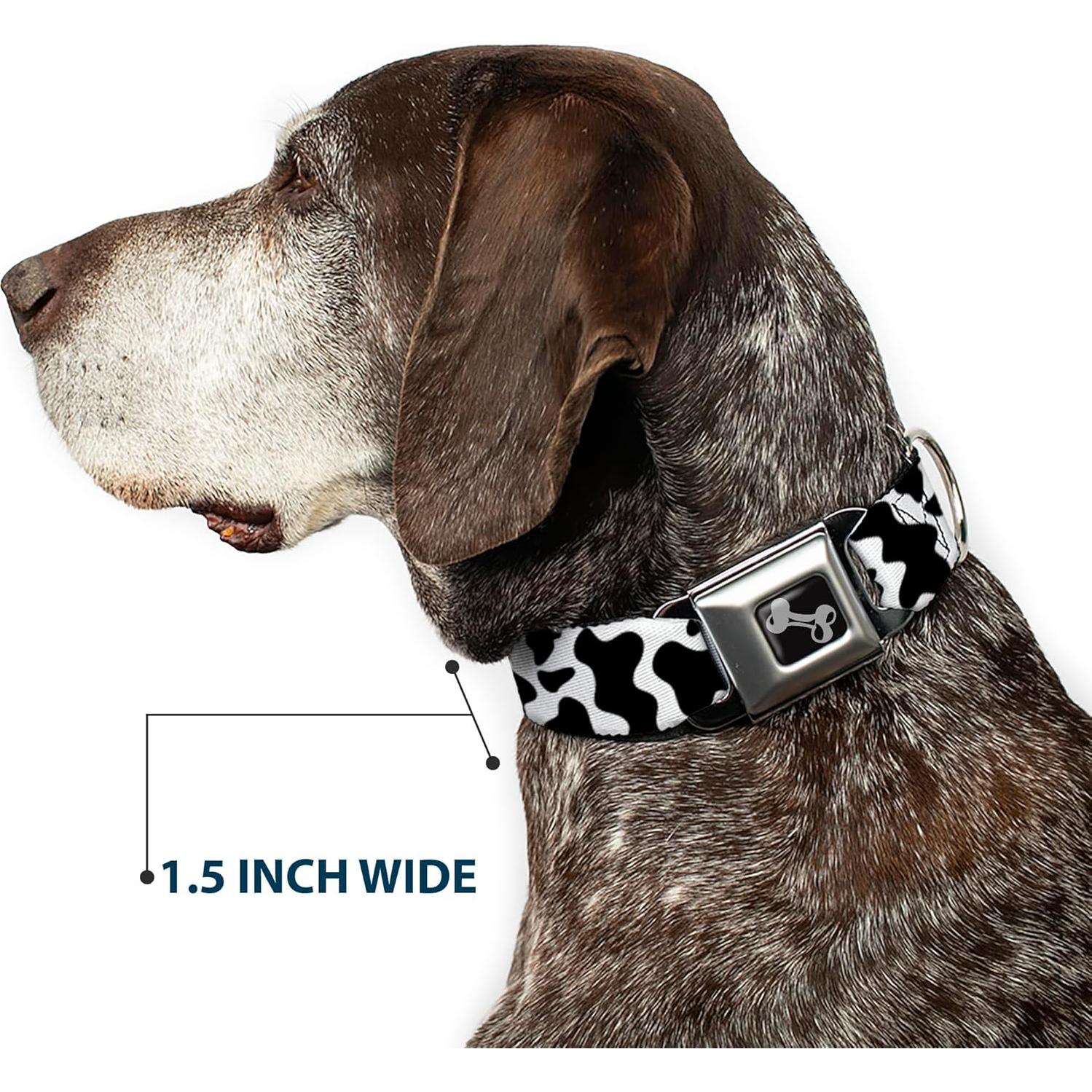 Collar para Perros Buckle-Down, Patrón Vaca, 27.94-41.91 cm