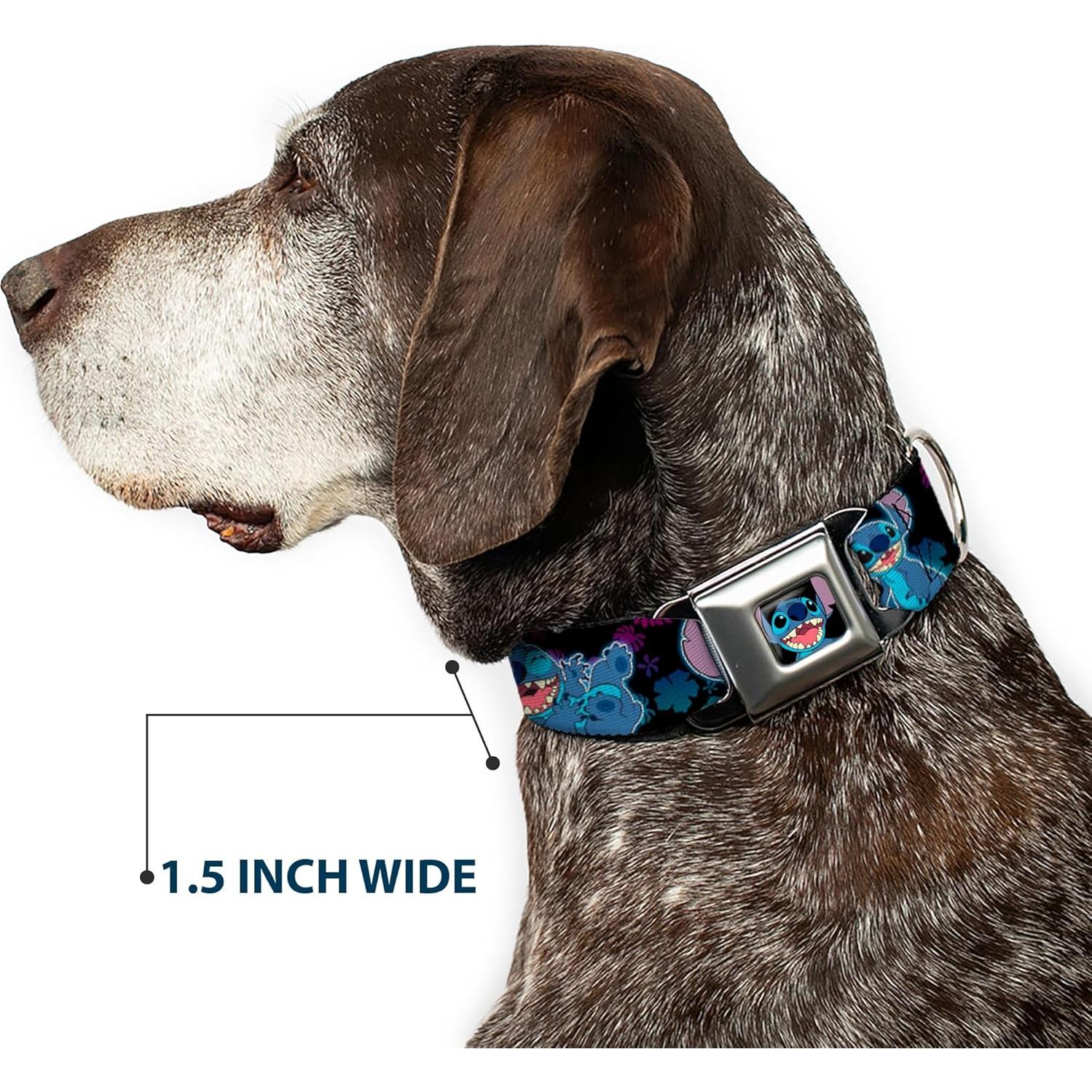 Collar para Perros Disney Buckle-Down 24.1-33 cm 2.5 cm Ancho