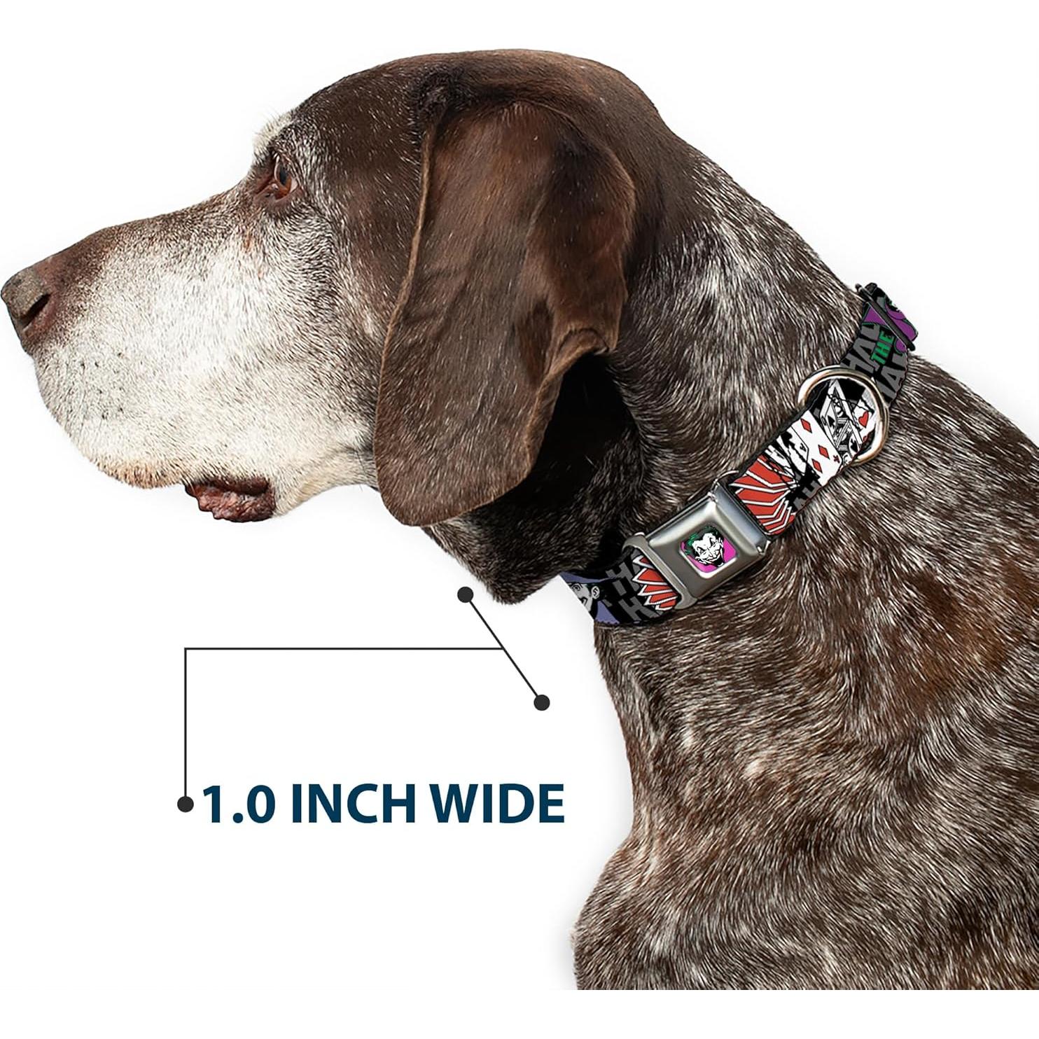 Collar para Perro Buckle-Down Joker 2.54 cm Ajustable 38-66 cm