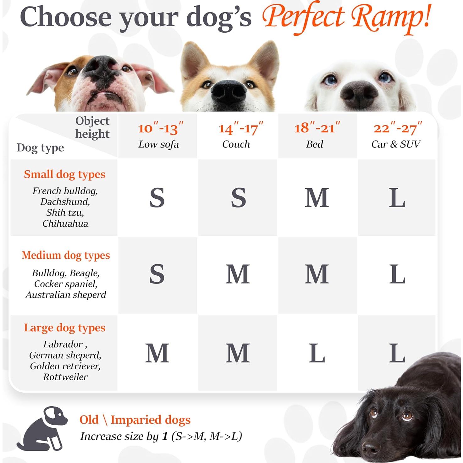 Rampa Ajustable para Perros Pathosio - Madera Nogal 5 Niveles