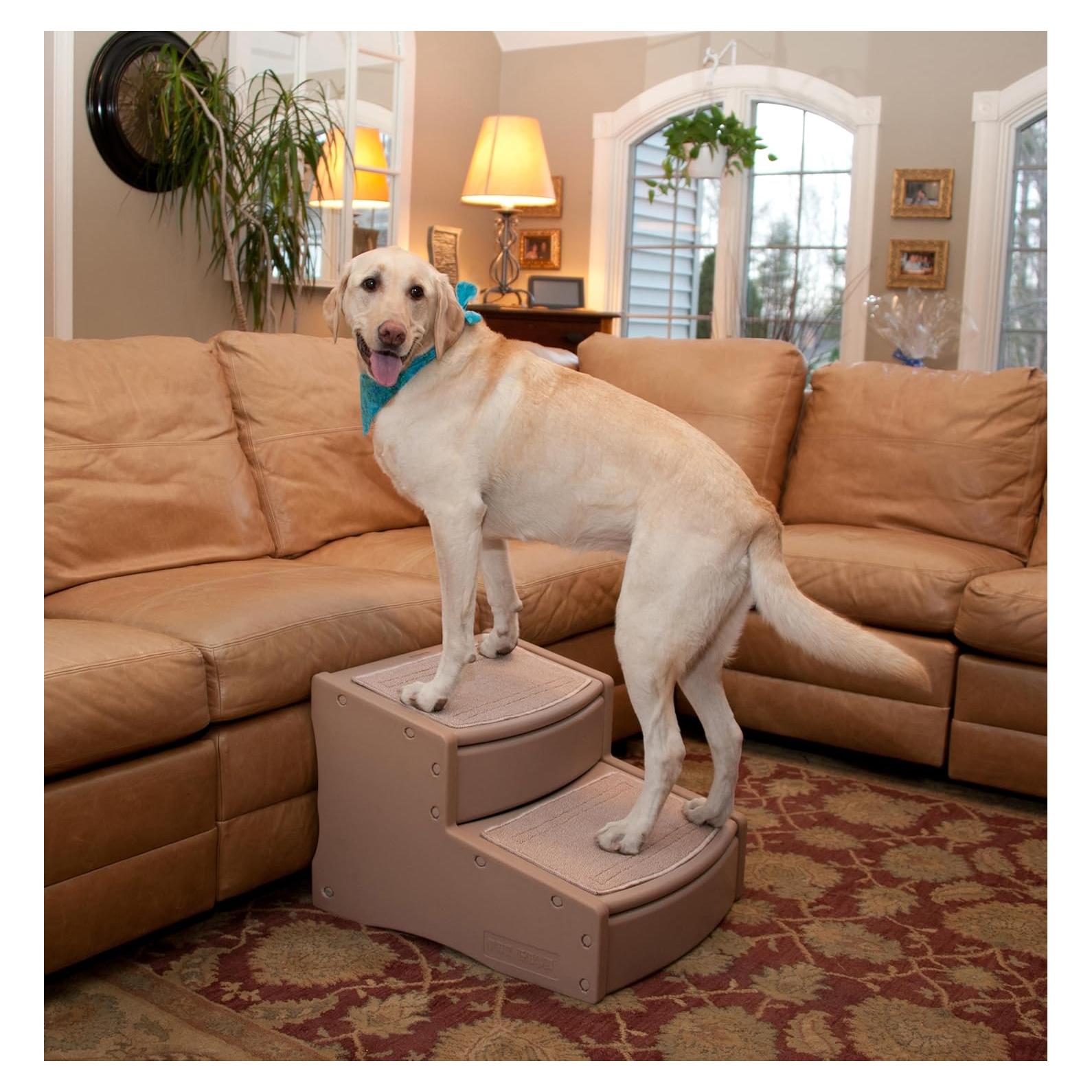 Escalera para Mascotas Pet Gear Easy Step II Extra Ancha 2 Escalones