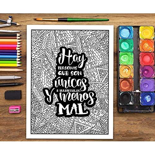 Un libro de colorear para adultos: He decidido usar el sarcasmo porque matar es ilegal (Spanish Edition)