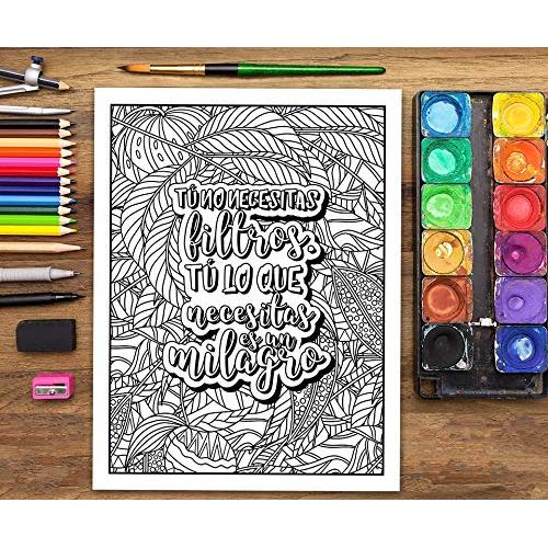 Un libro de colorear para adultos: He decidido usar el sarcasmo porque matar es ilegal (Spanish Edition)