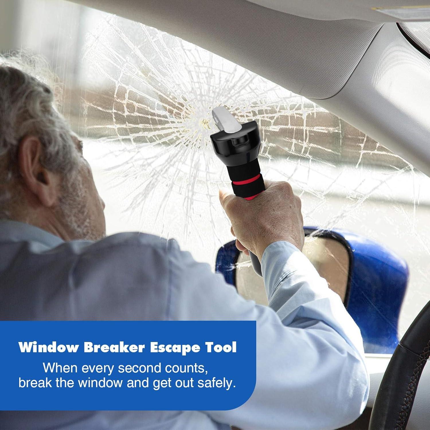 Mango de puerta de coche 1797 - Asistencia para ancianos, 2 unidades