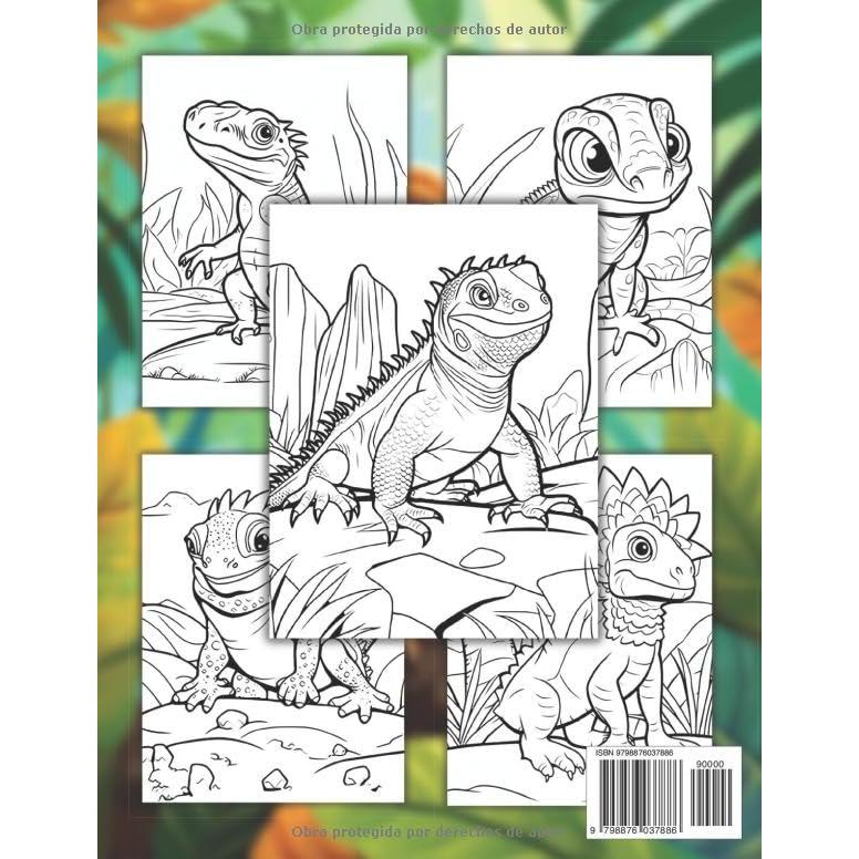Lagartija Libro De Colorear Para Niños: +40 Dibujos Divertidos Y Fáciles De Lindos Lagartija Para Colorear Para Niños, Niños Y Niñas Que Aman Los ... Para Aliviar El Estrés (Spanish Edition)