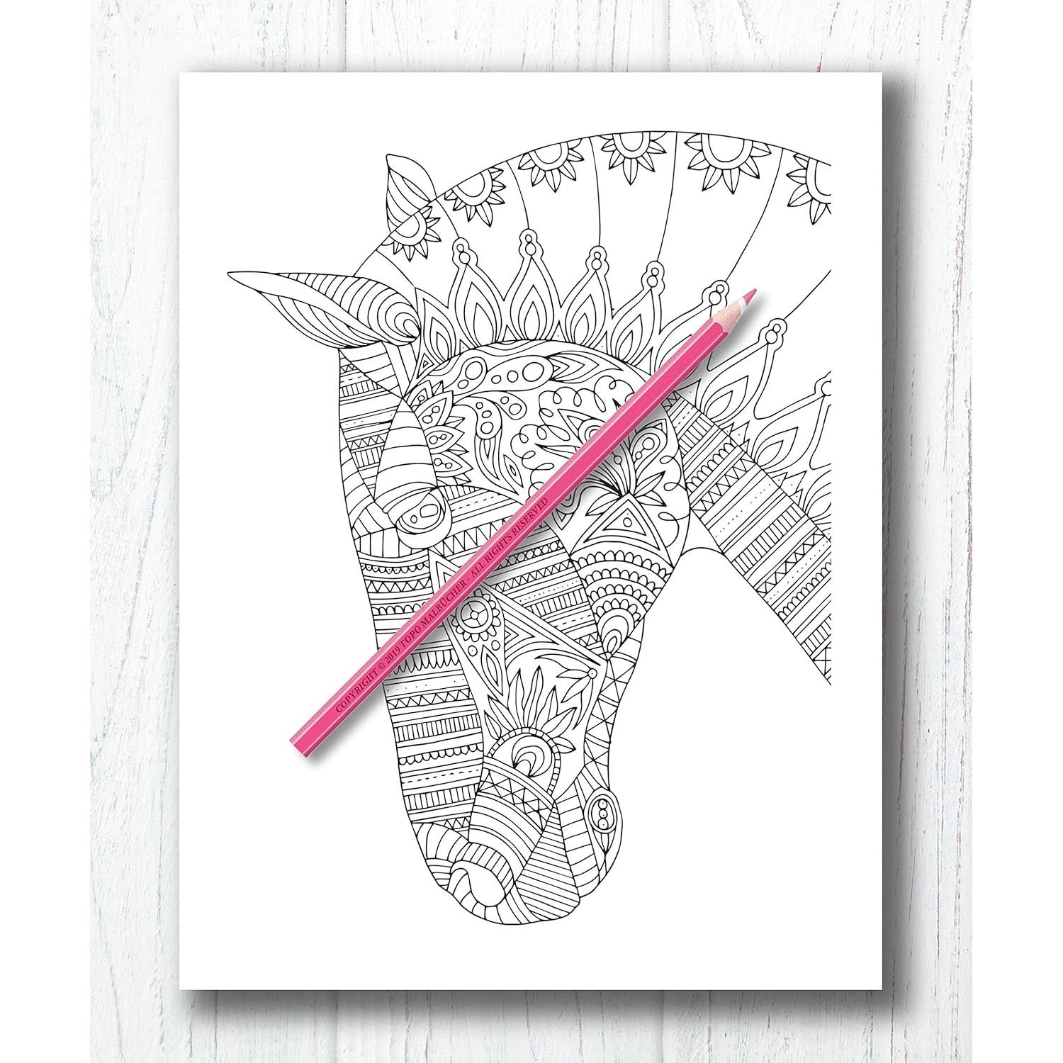 Libro de Colorear Para Adultos Caballos + BONIFICAR más de 60 páginas para colorear gratis (PDF Para Imprimir) (Spanish Edition)