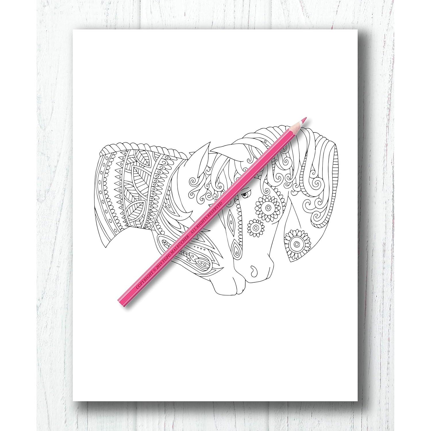 Libro de Colorear Para Adultos Caballos + BONIFICAR más de 60 páginas para colorear gratis (PDF Para Imprimir) (Spanish Edition)