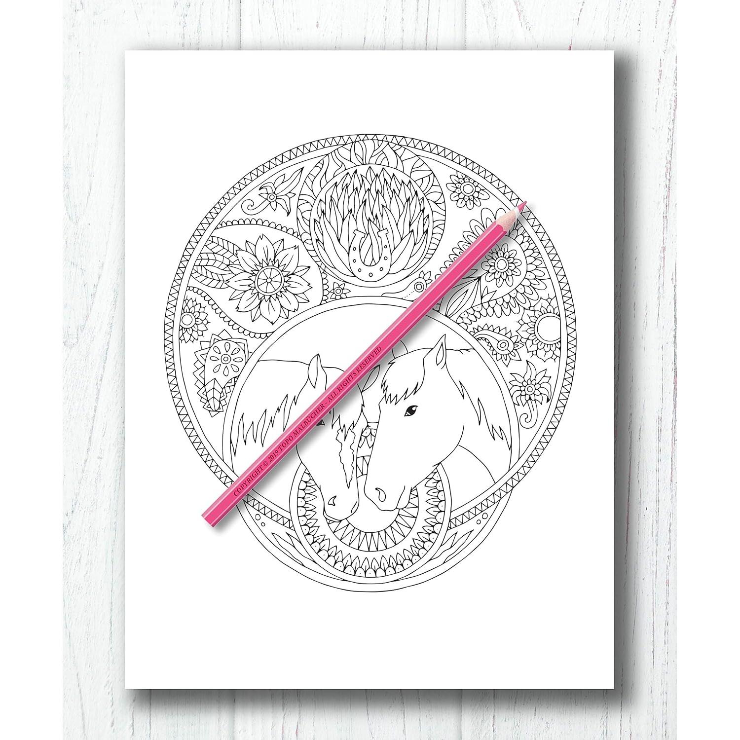 Libro de Colorear Para Adultos Caballos + BONIFICAR más de 60 páginas para colorear gratis (PDF Para Imprimir) (Spanish Edition)