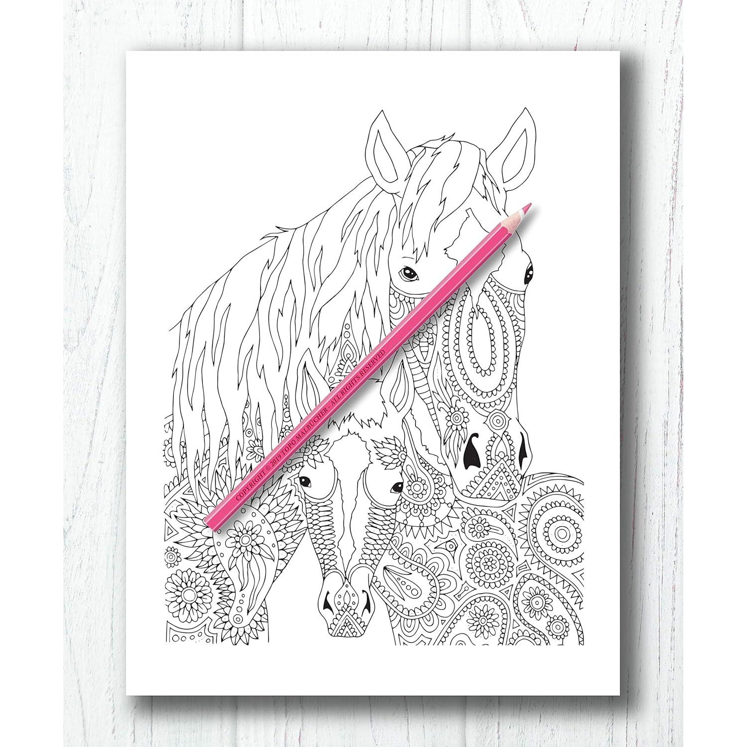 Libro de Colorear Para Adultos Caballos + BONIFICAR más de 60 páginas para colorear gratis (PDF Para Imprimir) (Spanish Edition)