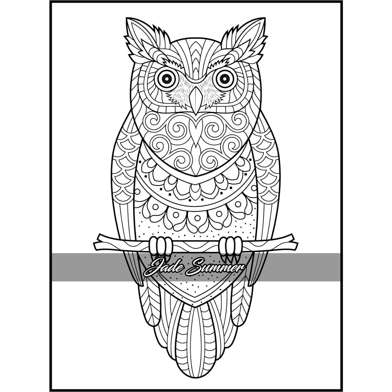 100 Animals: An Adult Coloring Book with Lions, Elephants, Owls, Horses, Dogs, Cats, and Many More!