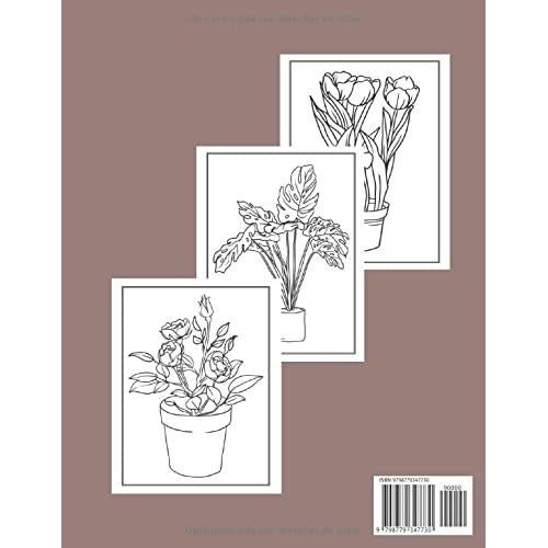 Planta de la Casa libros para Colorear para Adultos: Hermosas páginas para colorear de plantas de interior con suculentas y flores para relajarse. (Spanish Edition)