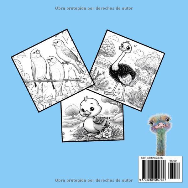 Libro para Colorear Aves: Un viaje creativo por el mundo de las aves (Spanish Edition)