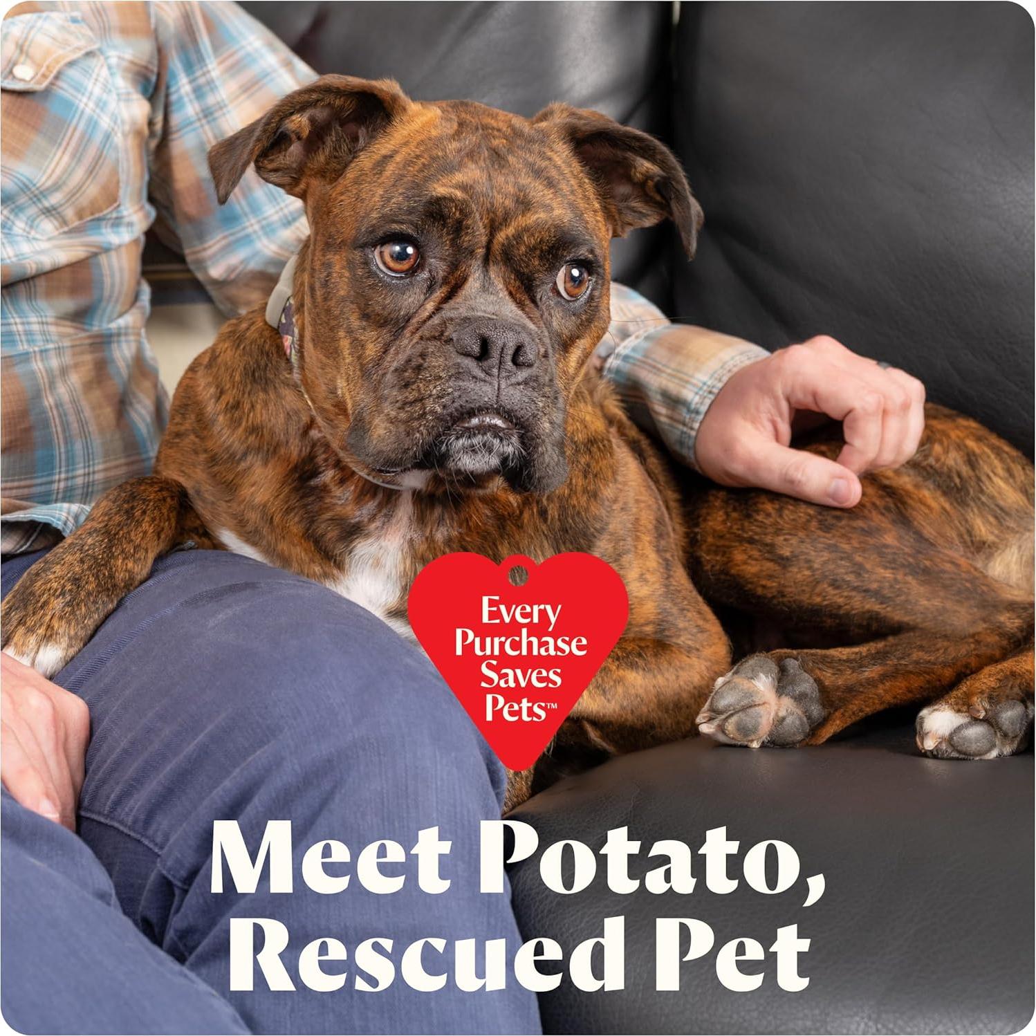 Limpiador Portátil Sin Cable Bissell Little Green Mini 3.18 kg