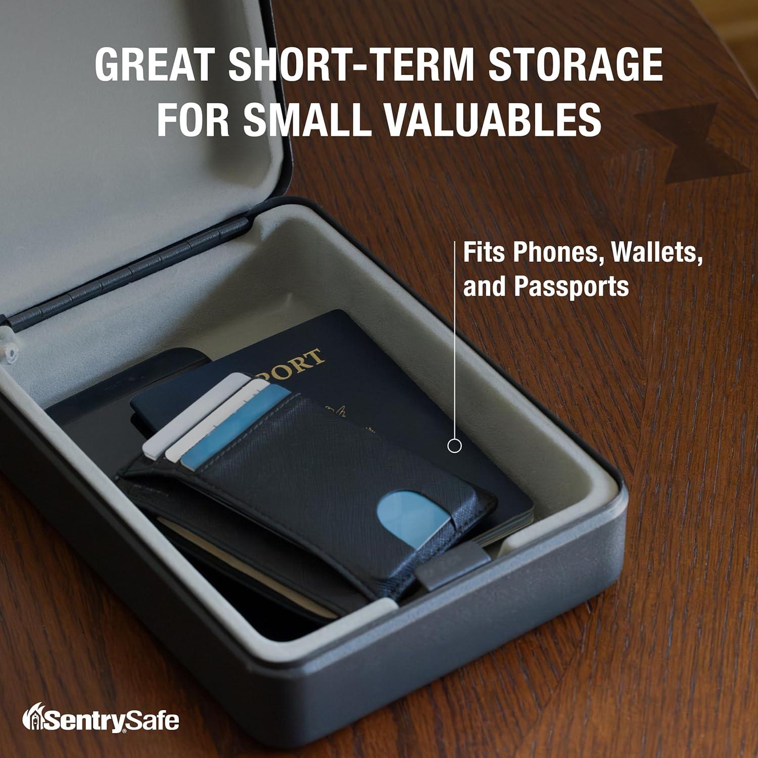 Caja Fuerte Pequeña SentrySafe con Cerradura de Llave - Negra