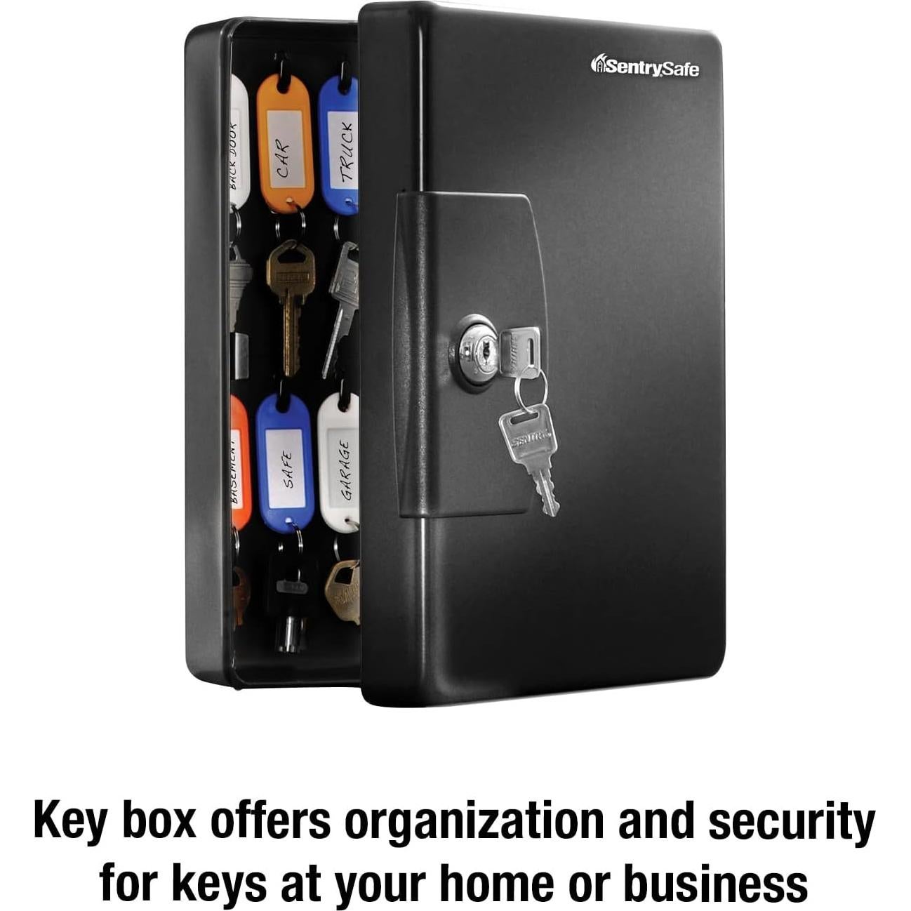 Caja de Llaves SentrySafe KB-25 Negra con Cerradura, 25 Ganchos