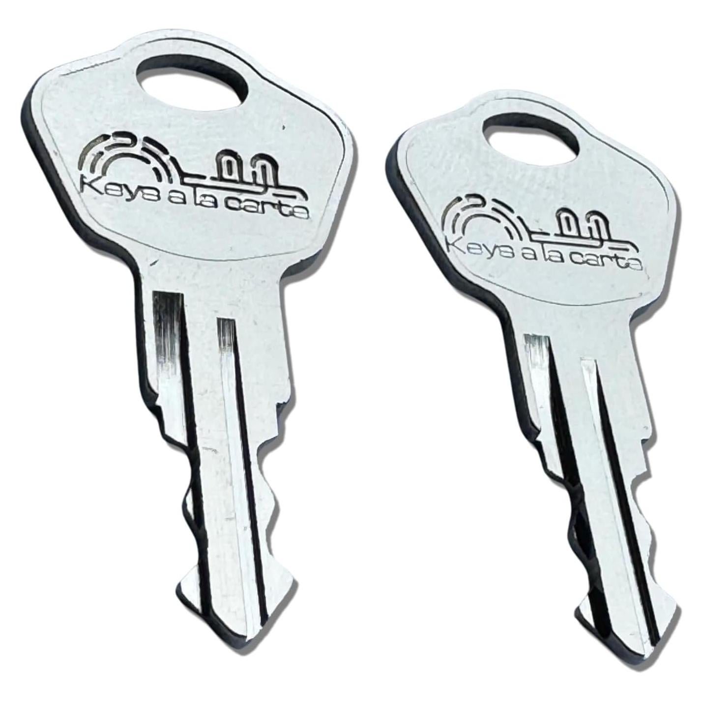 Llaves de Reemplazo Sentry Safe 3J2 - Alta Calidad