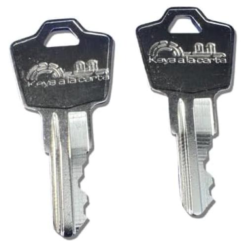 Llave de Reemplazo SentrySafe KEYSALACARTE Código H 1531