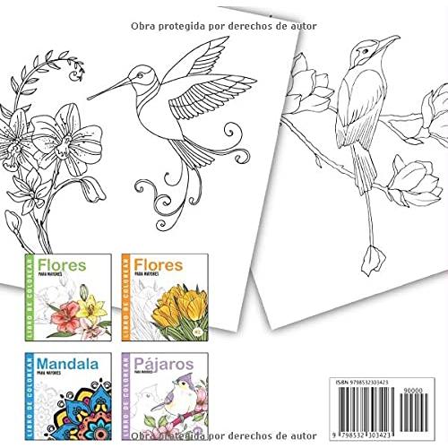 Pájaros | Libro De Colorear Para Mayores: Dibujos Grandes y Fáciles Para Colorear Para Adultos O Para Principiantes | Cuaderno Para Colorear Antiestres | Regalo Para Personas Mayores (Spanish Edition)