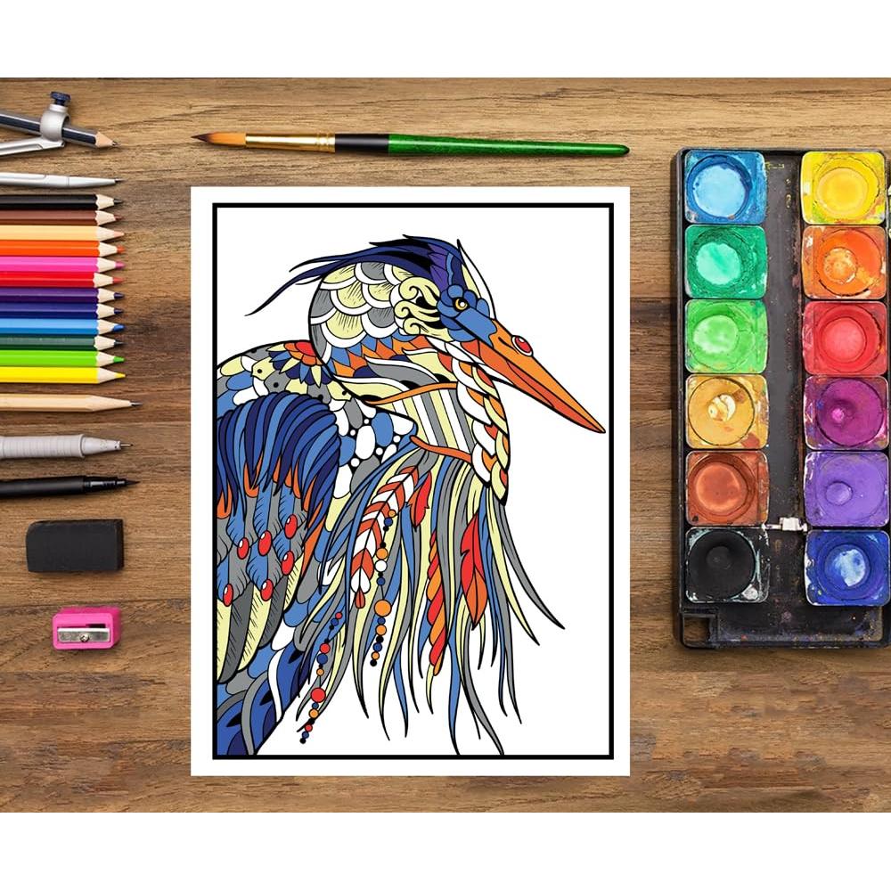 Libro de colorear para adultos: Colorea por números (Spanish Edition)