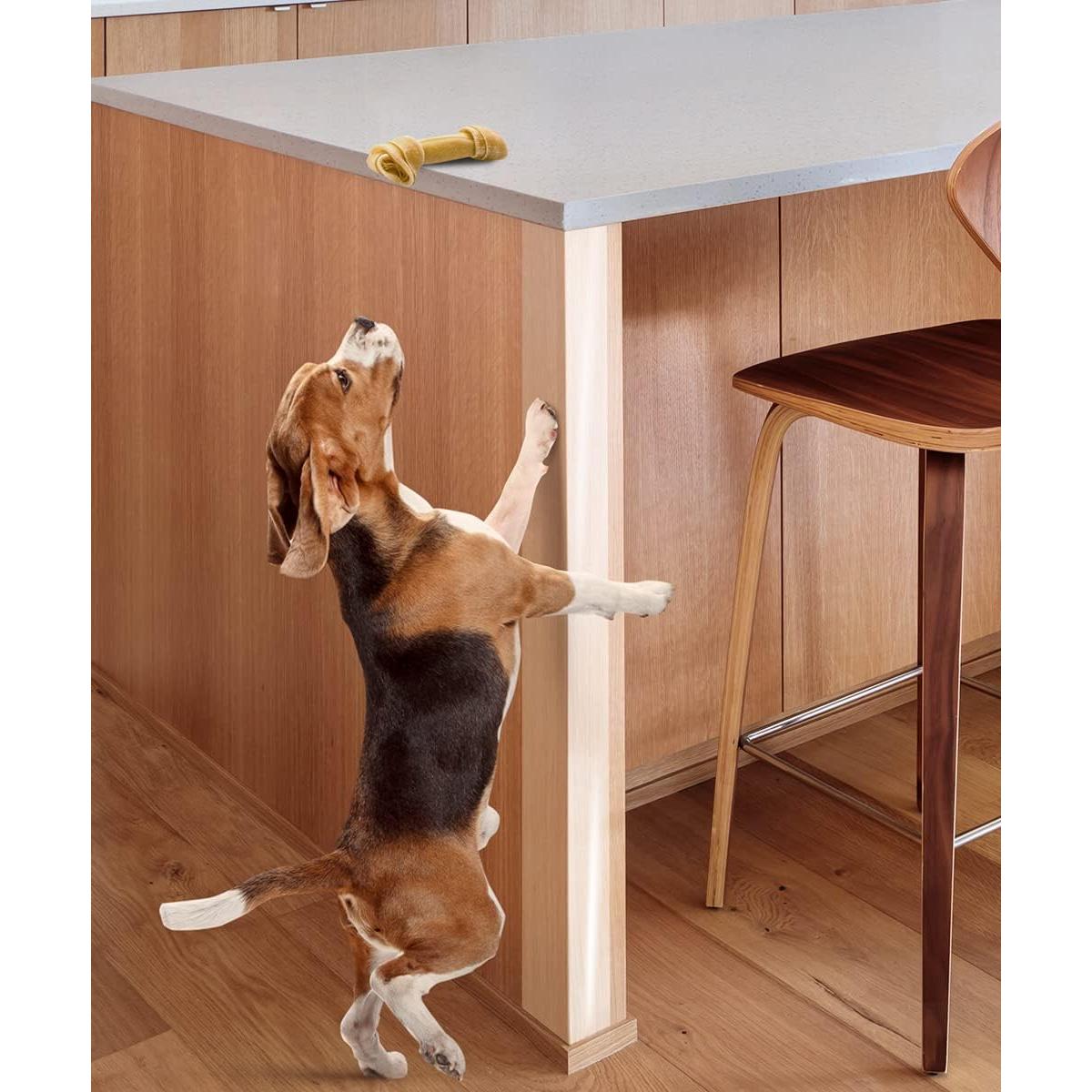 Cinta de Protección CLAWGUARD 20 Tiras 30.48x10.16 cm