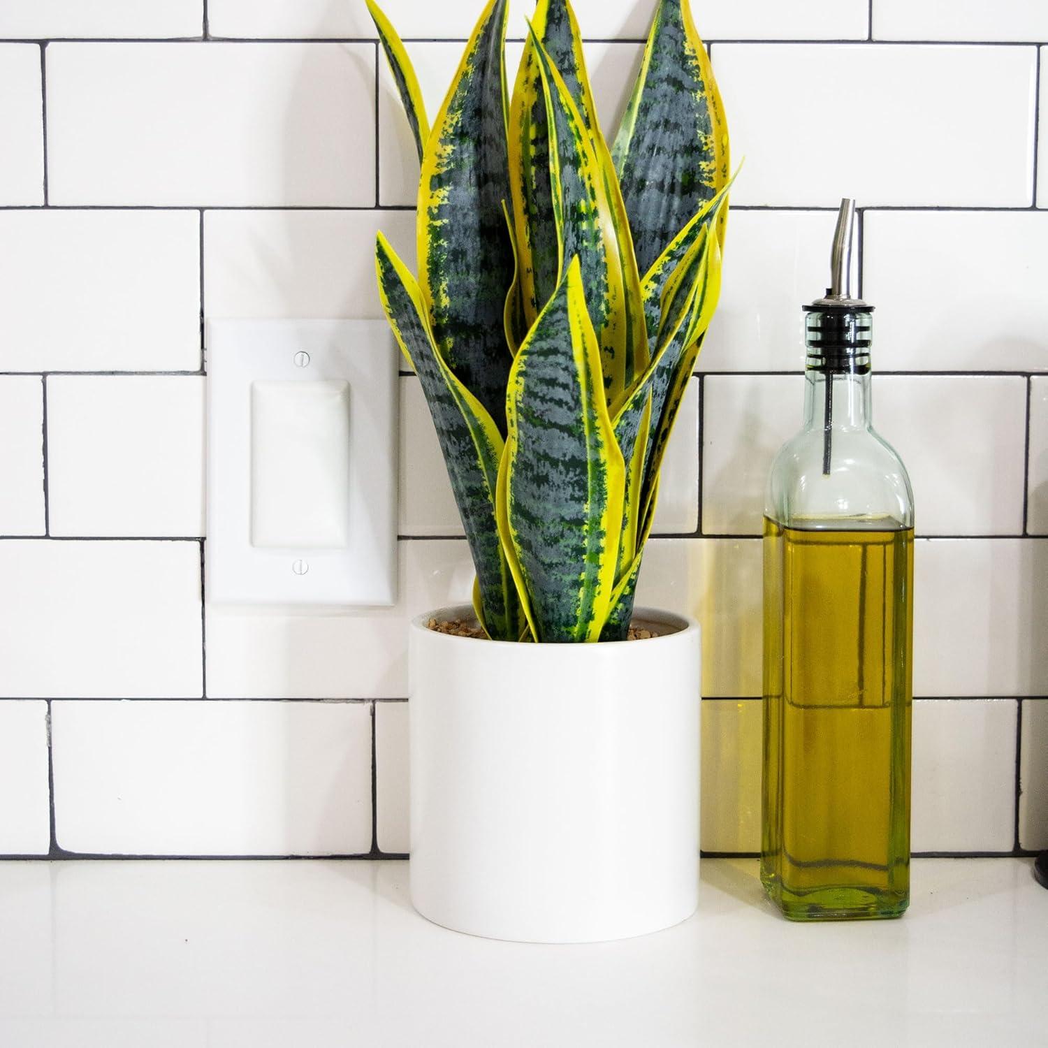 Cubierta de Enchufe Doble Qdos StayPut - Paquete de 12