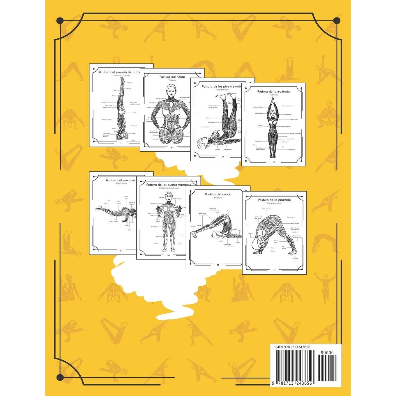Anatomía Del Yoga Libro Para Colorear: Una Nueva Visión De Las Posturas De Yoga (Spanish Edition)