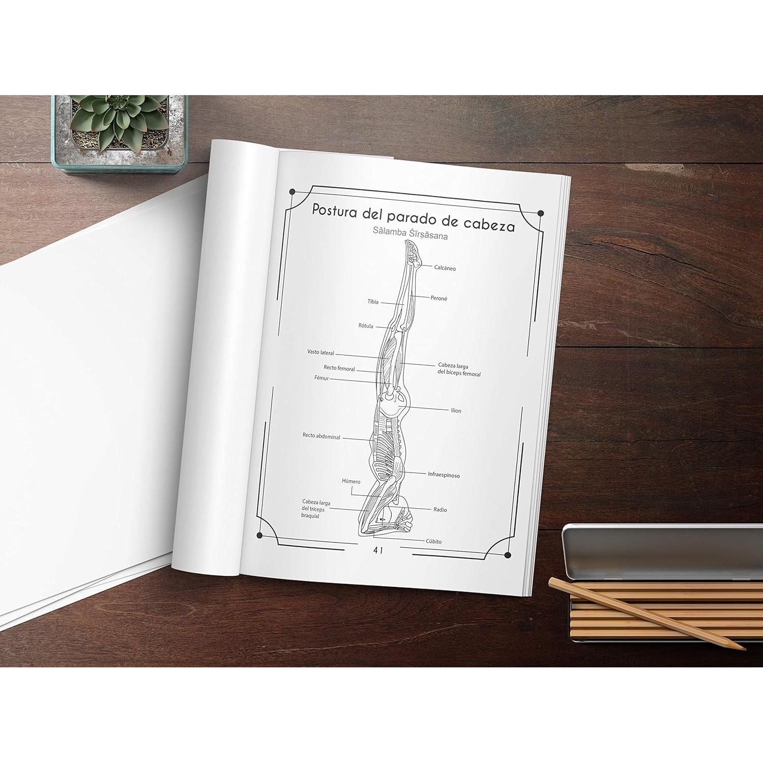 Anatomía Del Yoga Libro Para Colorear: Una Nueva Visión De Las Posturas De Yoga (Spanish Edition)