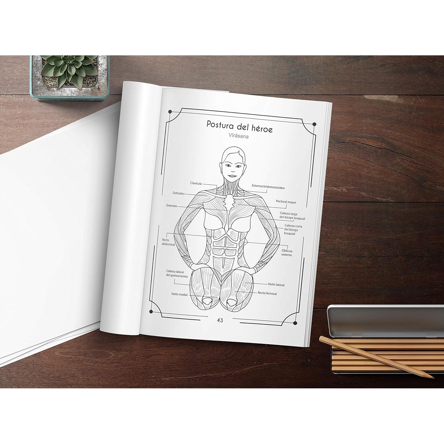 Anatomía Del Yoga Libro Para Colorear: Una Nueva Visión De Las Posturas De Yoga (Spanish Edition)