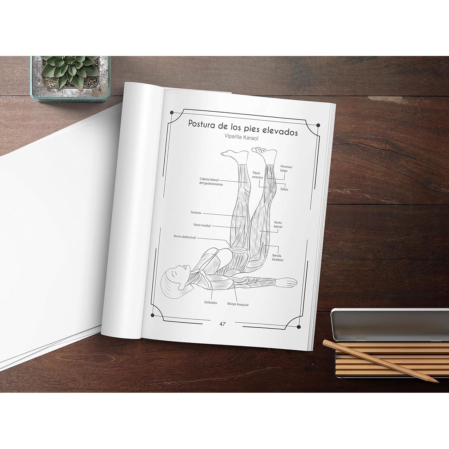 Anatomía Del Yoga Libro Para Colorear: Una Nueva Visión De Las Posturas De Yoga (Spanish Edition)