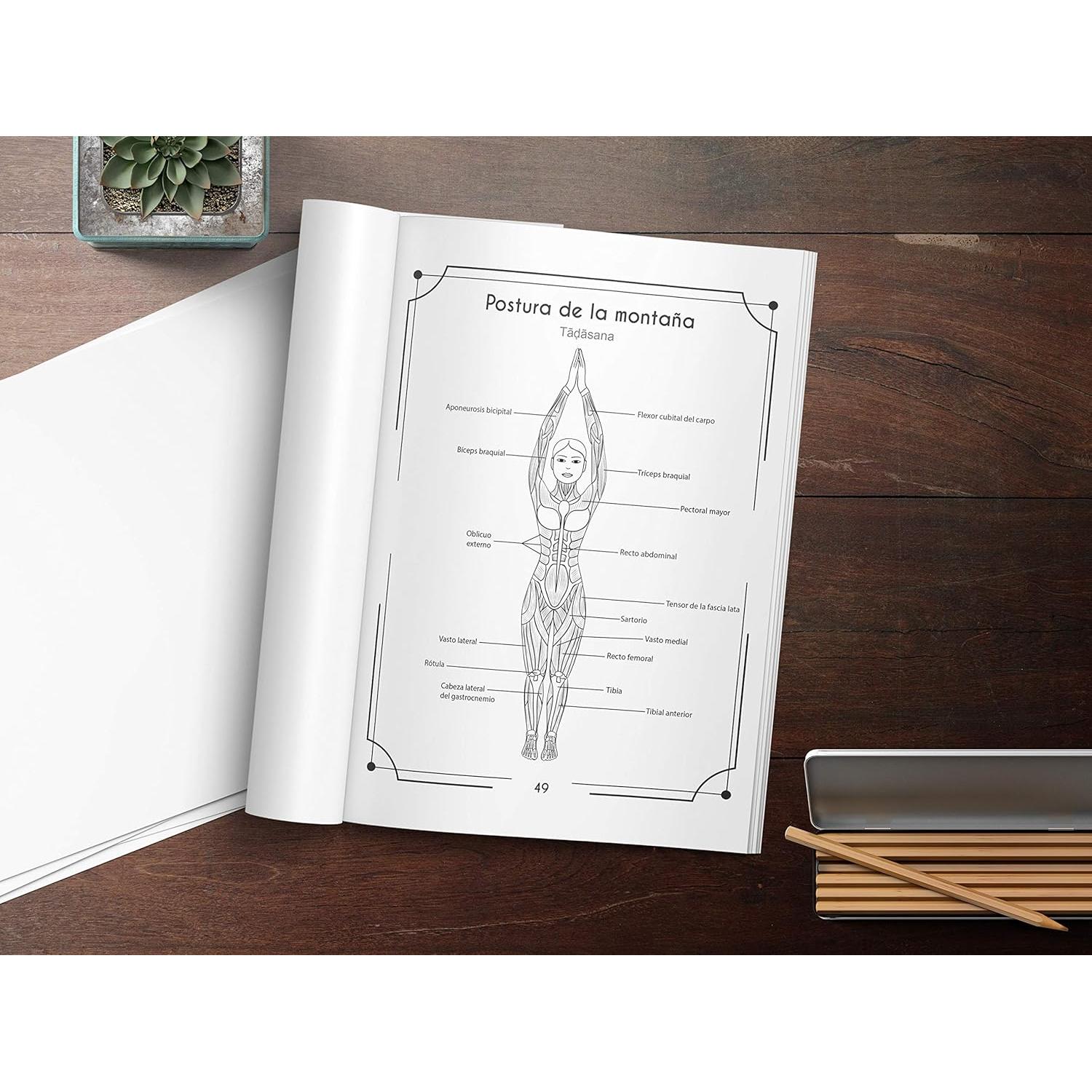 Anatomía Del Yoga Libro Para Colorear: Una Nueva Visión De Las Posturas De Yoga (Spanish Edition)