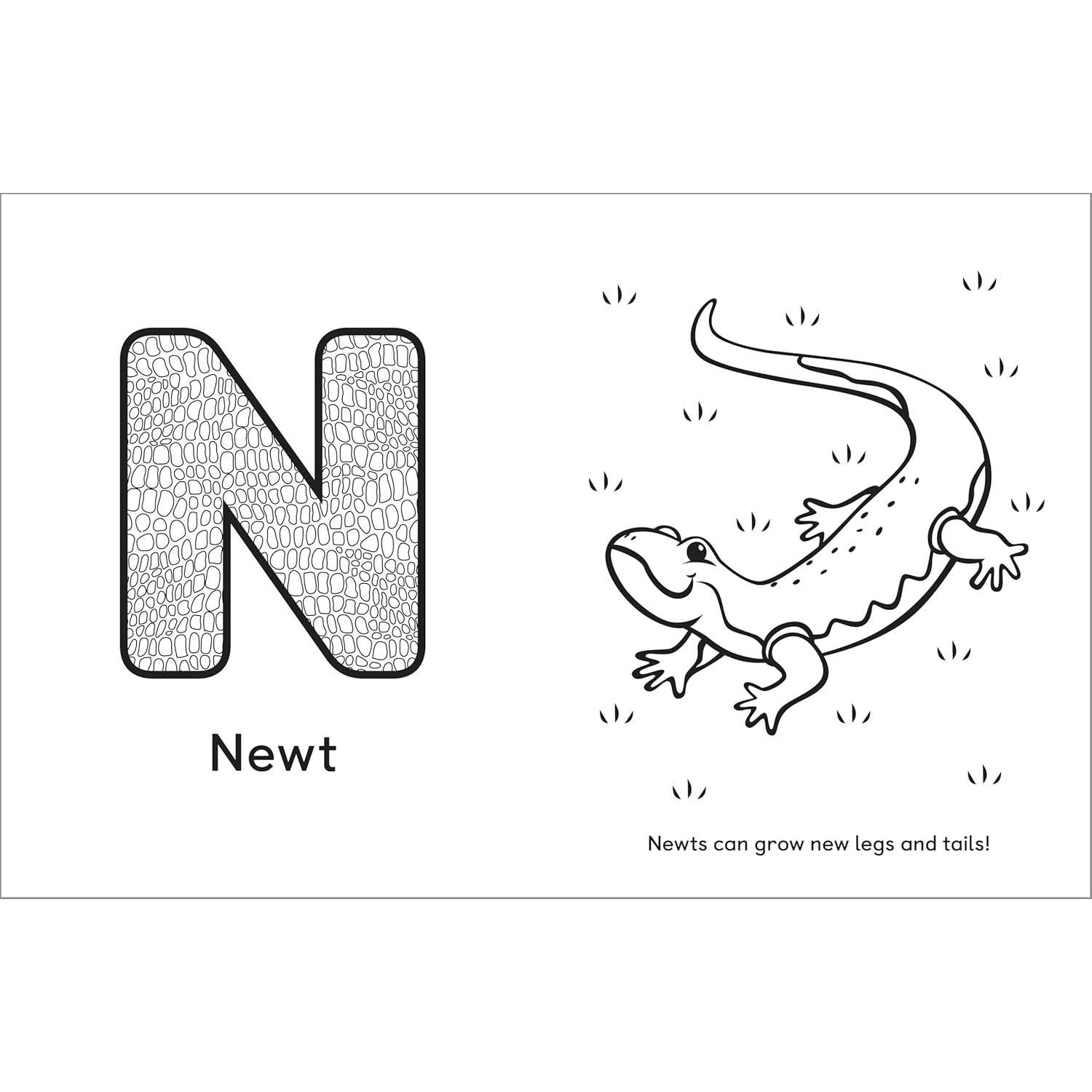 A Is for Animals!: Preschool Coloring Book