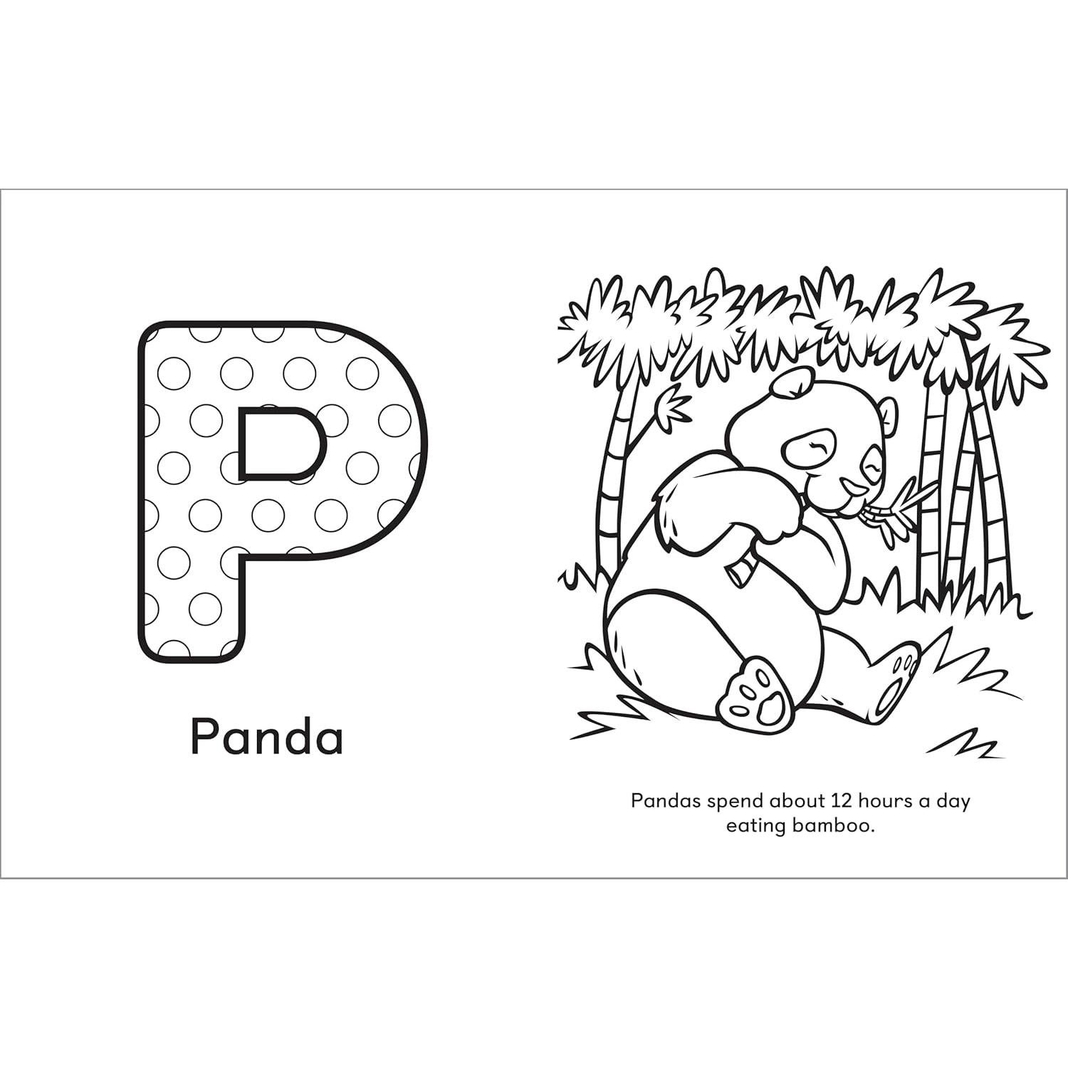 A Is for Animals!: Preschool Coloring Book