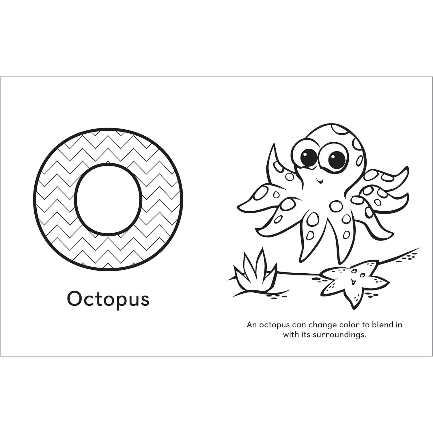 A Is for Animals!: Preschool Coloring Book