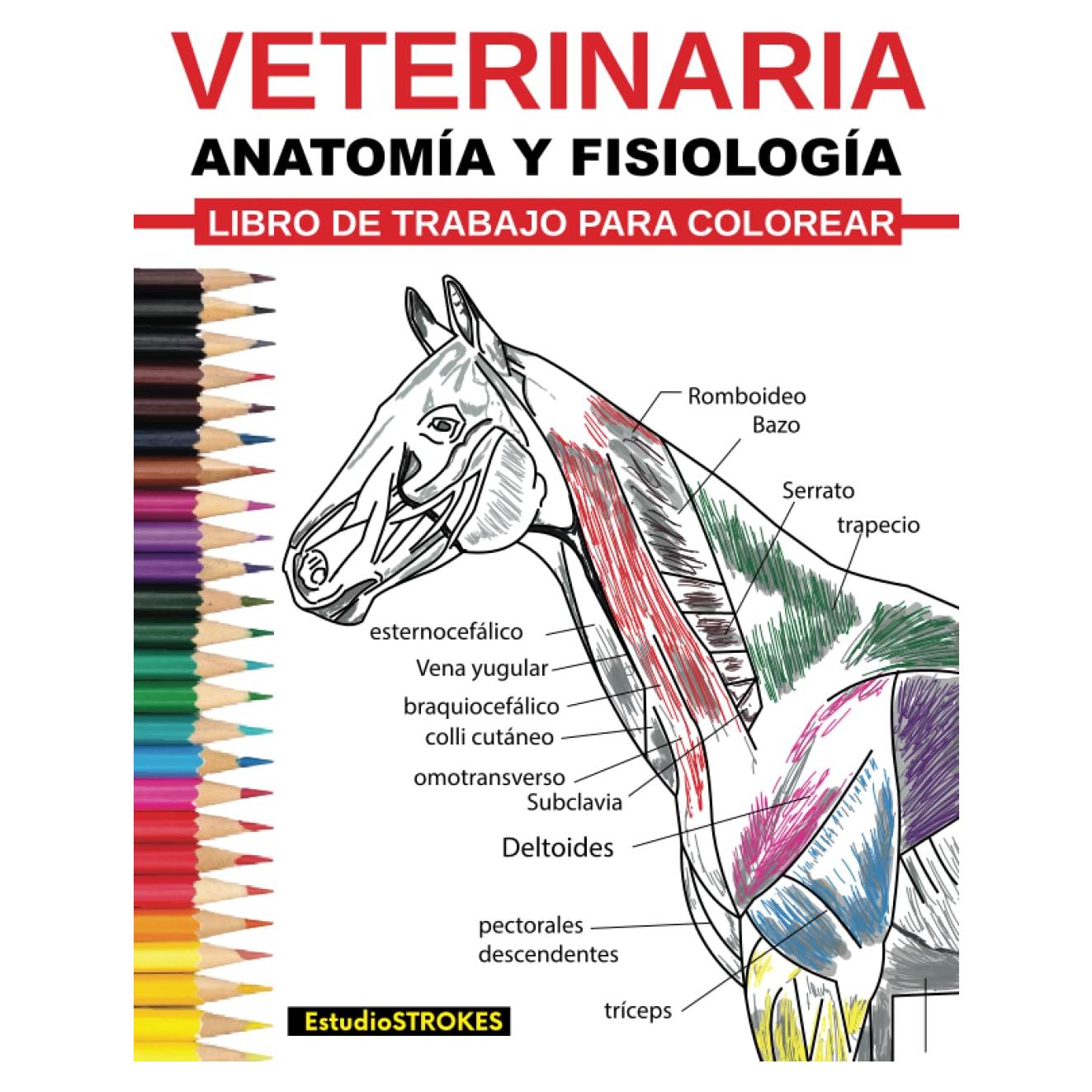 Veterinaria Ibro De Trabajo Para Colorear Anatomía Y Fisiología Libro De Trabajo Para Colorear: Guía de Estudio de Autoevaluación, Preparación de ... Veterinaria y Enfermería (Spanish Edition)